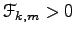 $ {\EuScript F}_{k,m}>0$