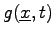 $ g(\underline{x},t)$